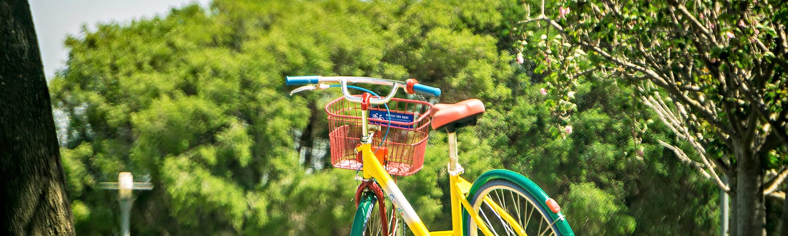 A photo of a Google bike parked on a grassy lawn.