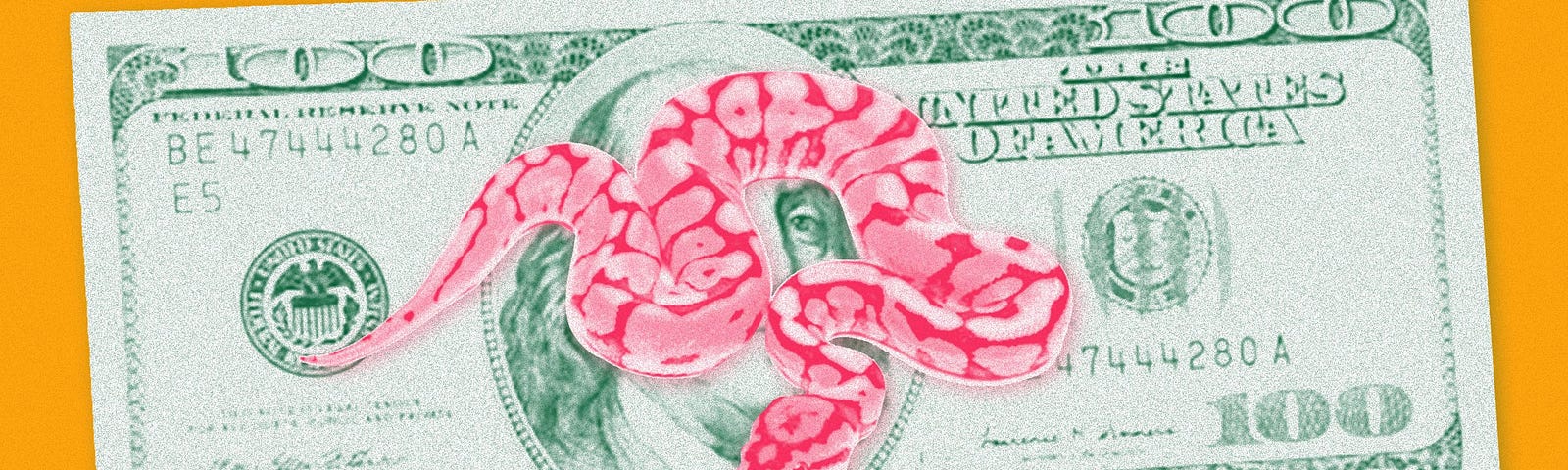 A photo treatment of a snake against a 100 dollar bill.