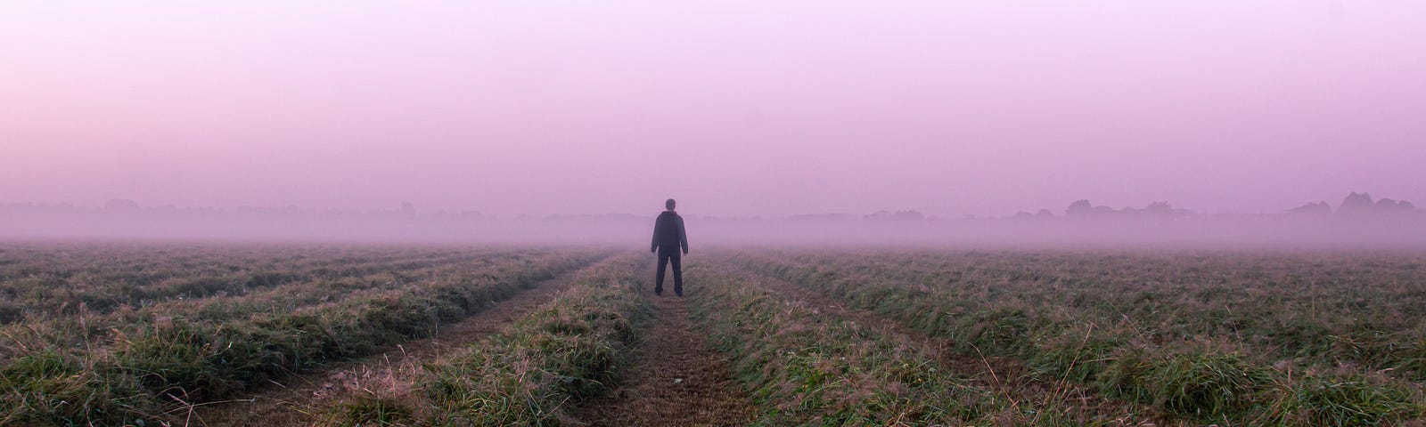 A mysterious lone figure standing in a field on a beautiful early misty morning.