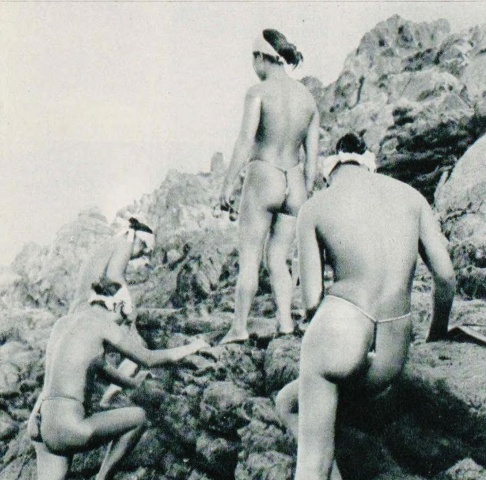 Ama freedivers in loincloths and headscarves, photographed in 1956.