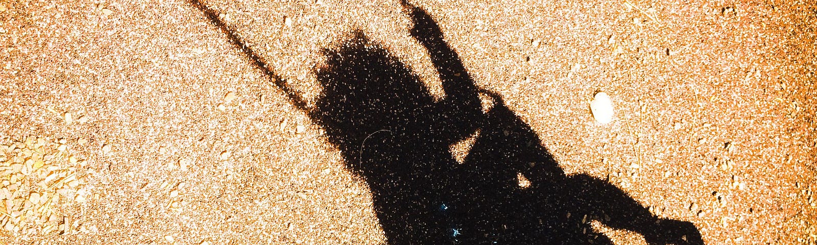 A photo of a shadow of a child on a swing.