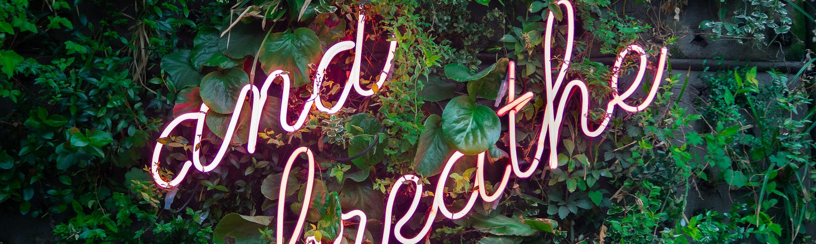 Pink neon lights in the shape of “and breathe” in cursive, mounted on a wall of greenery.