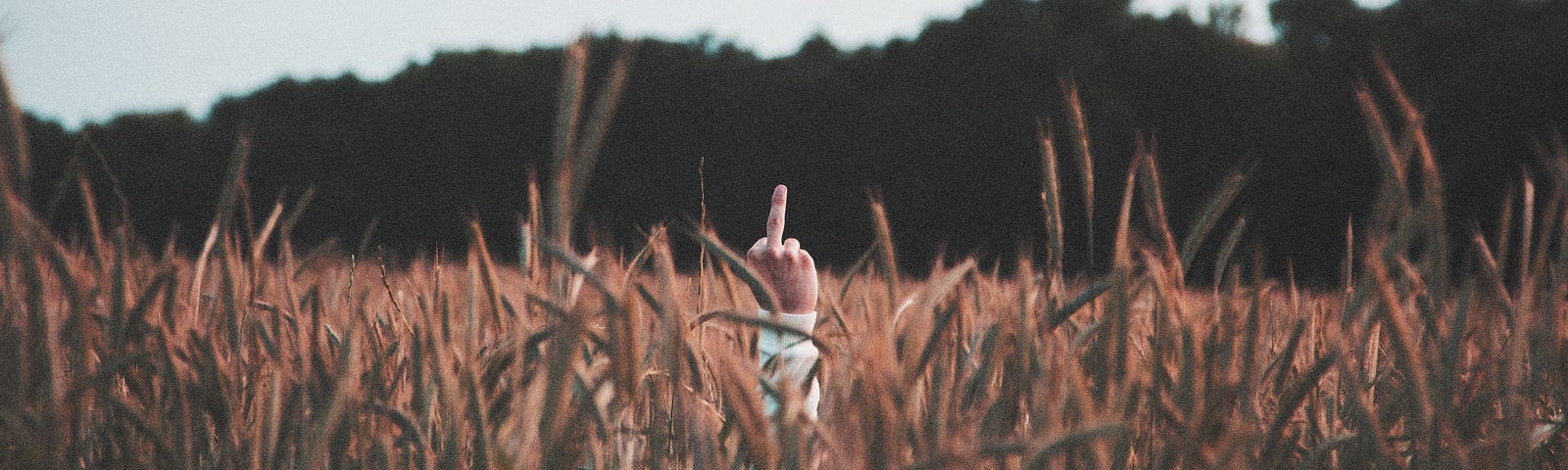 Middle finger up in the middle of a field.