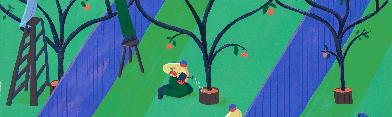 Colorful illustration of people harvesting from orchard yards.