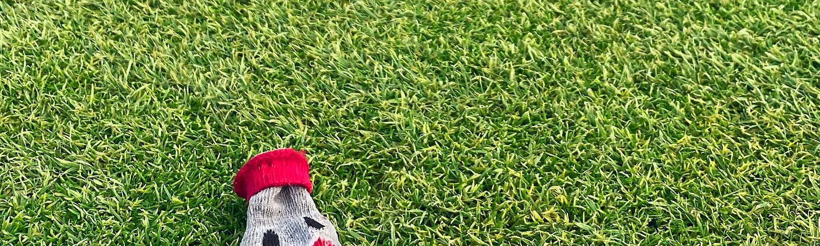The missing sock— a lonely sock found on the grass | humour | pockett dessert nature photography