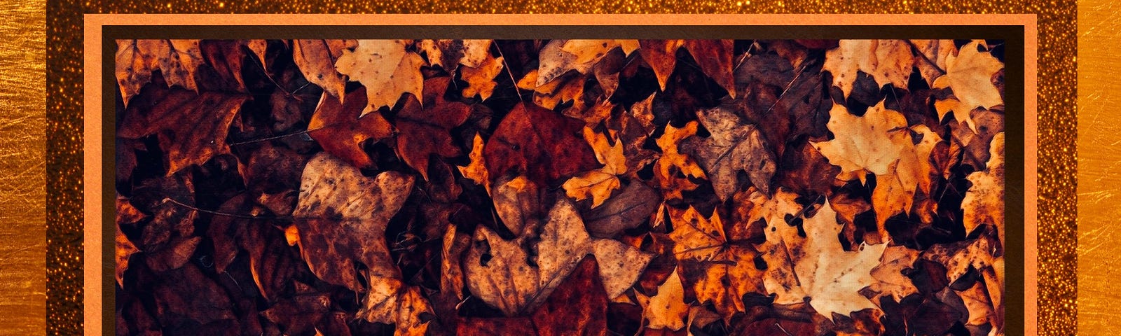 Fallen leaves in tones of brown, gold, and orange