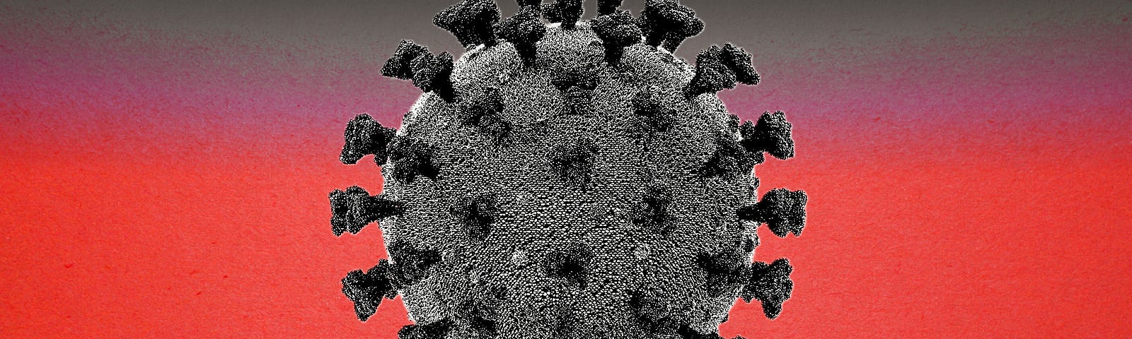 A photo of a black microscoped coronavirus against a black-red-cream gradient background.