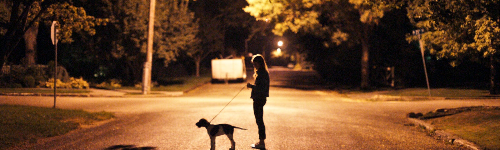 An ominous looking photo of a woman with her dog in an empty street at night.