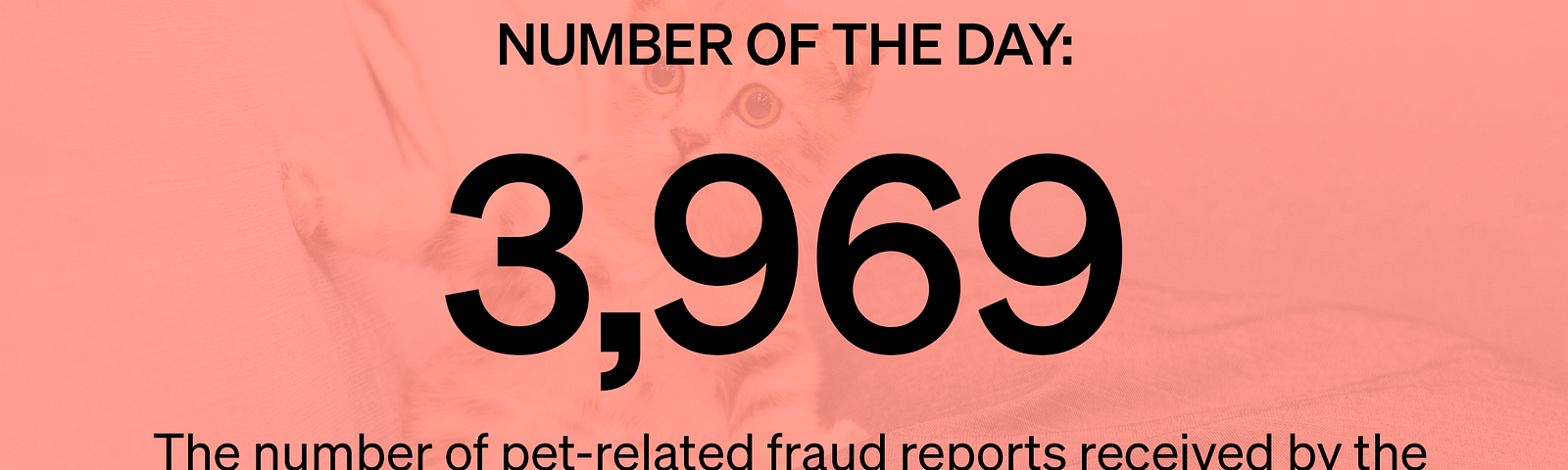 Marker Number of the Day: 3,969 — The number of pet-related fraud reports received by the Better Business Bureau in 2020