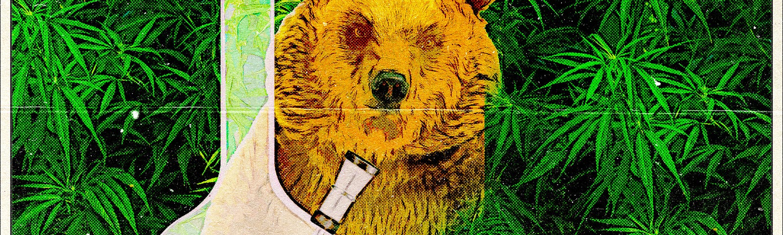 Bear with bong outside weed farm