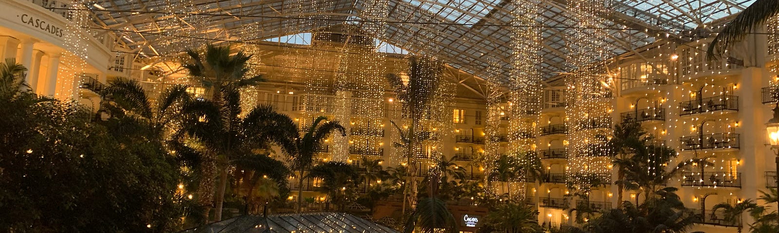 An indoor patio surrounded by lush vegetation within the center of a resort, surrounded by hotel rooms towering above the ground. Glass ceiling and fairylights hanging from above.