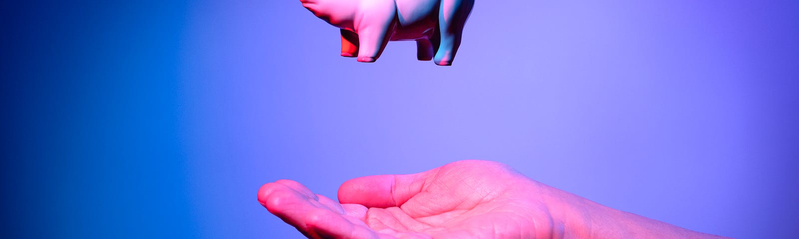 A pink piggy bank in mid-air above someone’s hand.