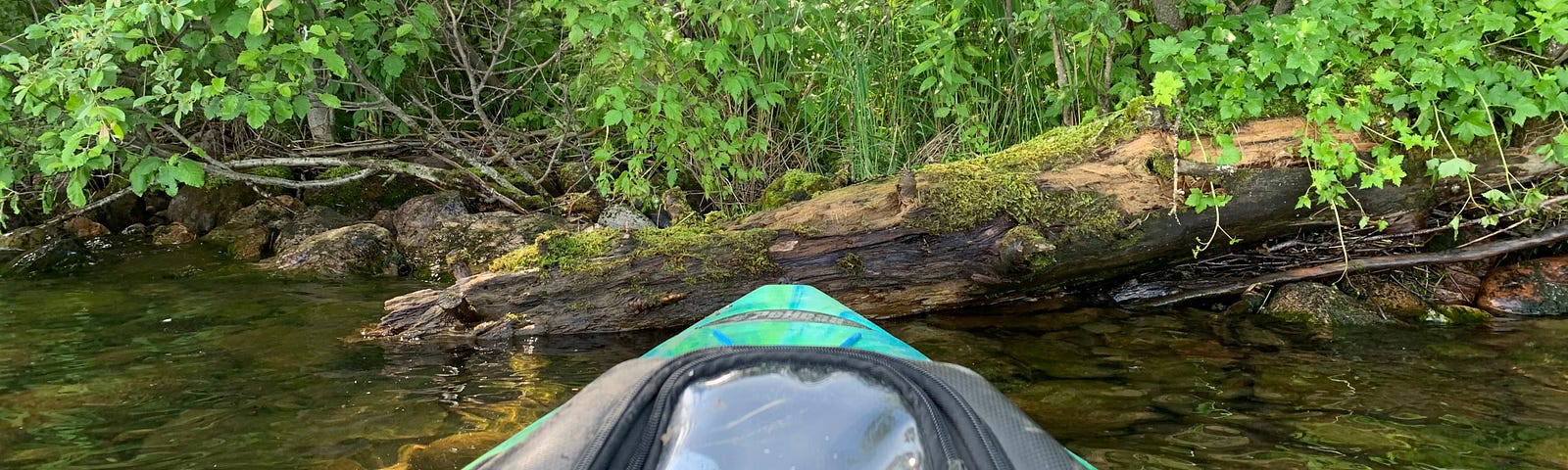 The colours of a kayak’s bow mimic the range of greens of the forest before it.