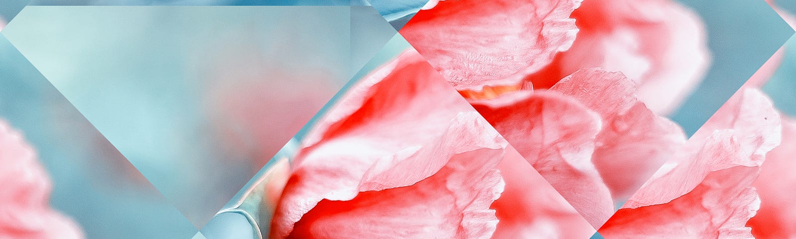 Peony mosaic image.