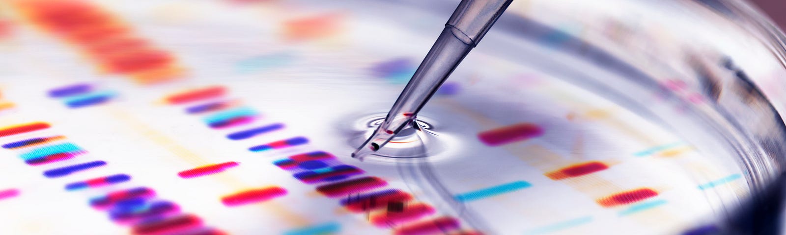 Pipette adding sample to petri dish with DNA profiles in background.