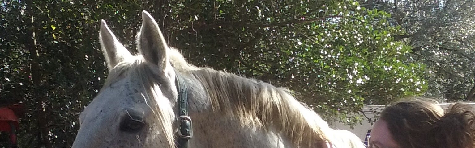 The author with her horse, Icon