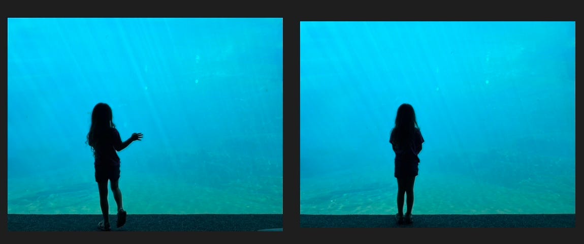 Four stills of child’s silhouette against large aquarium tank.
