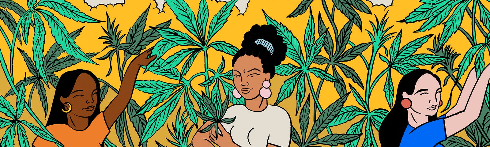 An illustration of three women surrounded by the cannabis plant all around them.