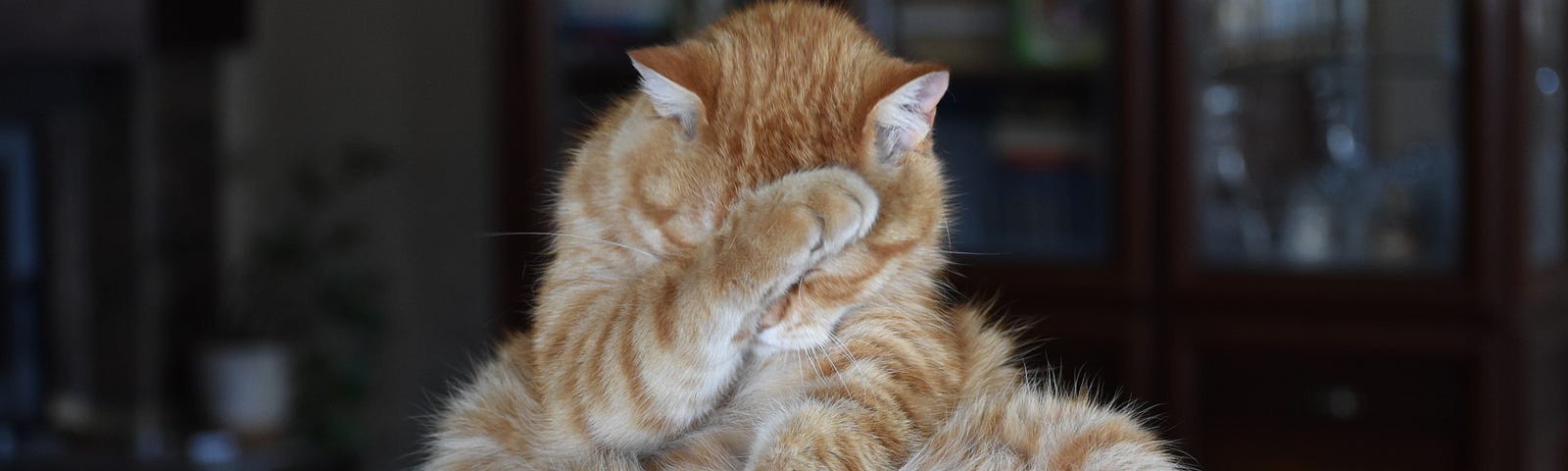 An orange tabby cat with its paw over its face.