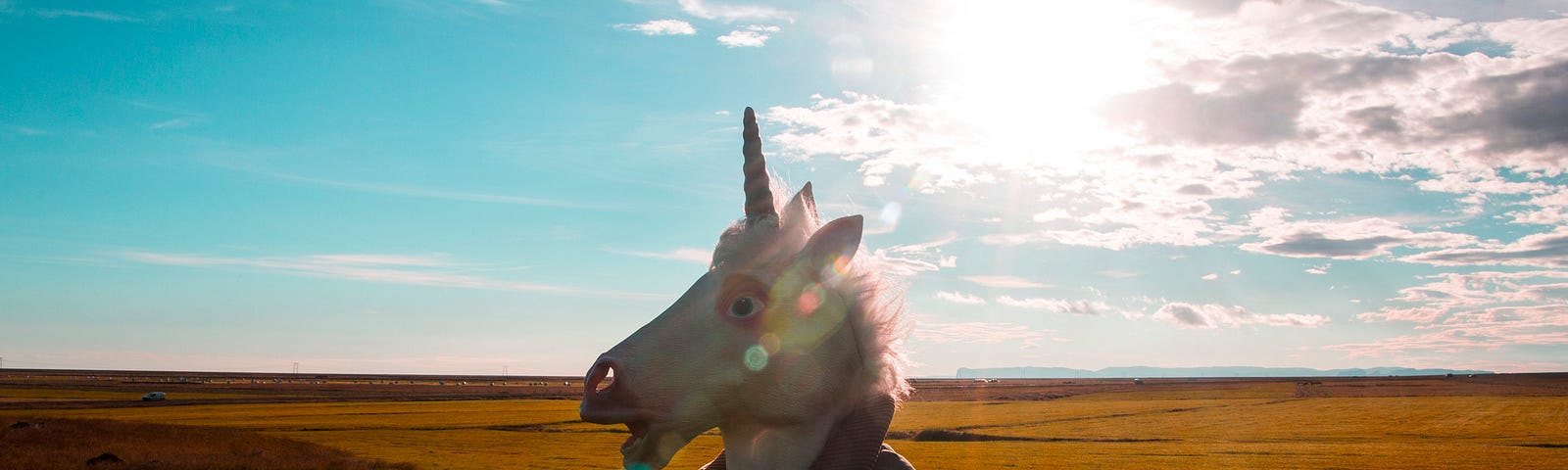 A man wearing a unicorn mask standing in a sunny field.