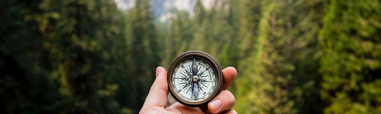 Person Holding a compass infront of trees and mountains.