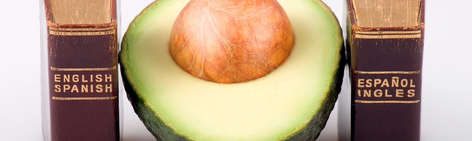 Half an avocado with seed sits between two miniature translation dictionaries