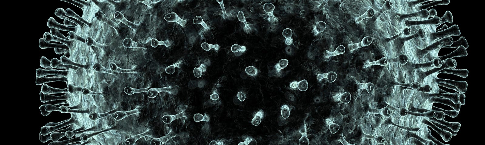 A photo of a coronavirus.