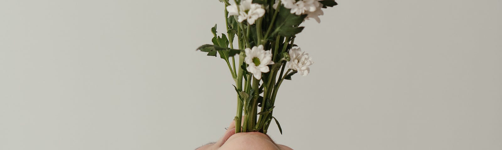 A person with their head leaned all the way back holding a bunch of long-stemmed flowers in their mouth like a vase.