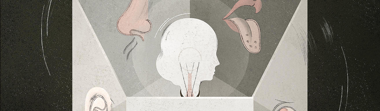 Illustration of a lightbulb shaped like someone’s head, surrounded by an isolated nose, mouth/tongue, and ears.