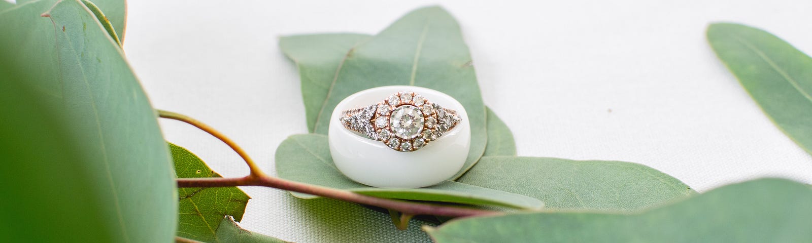 A golden feminine engagement ring studded with a halo of diamonds is nestled on top of a white masculine wedding ring on in the center of the frame with leaves scattered along the bottom half of the frame.