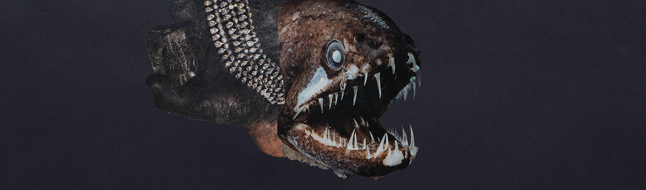 Illustration of a primeval-looking anglerfish with long, thin, sharp teeth, floating in black water.