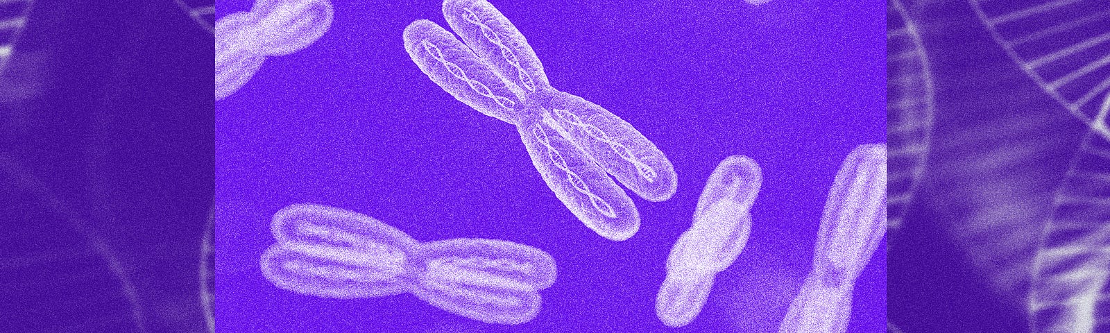 Photo illustration of X chromosomes against a background of wispy DNA helices.