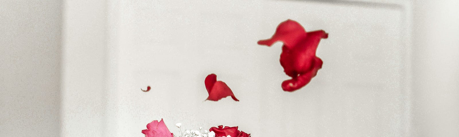 Clear, glass vase with pink and red roses inside and petals scattered across the table.