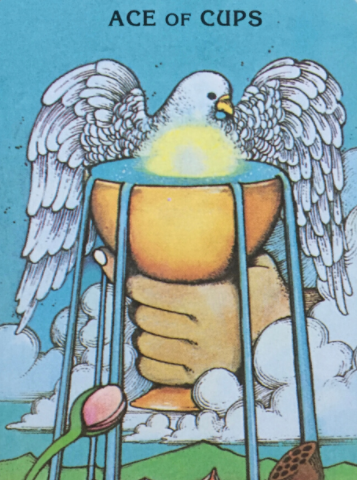 Ace of Cups card from the Morgan Greer Tarot Deck