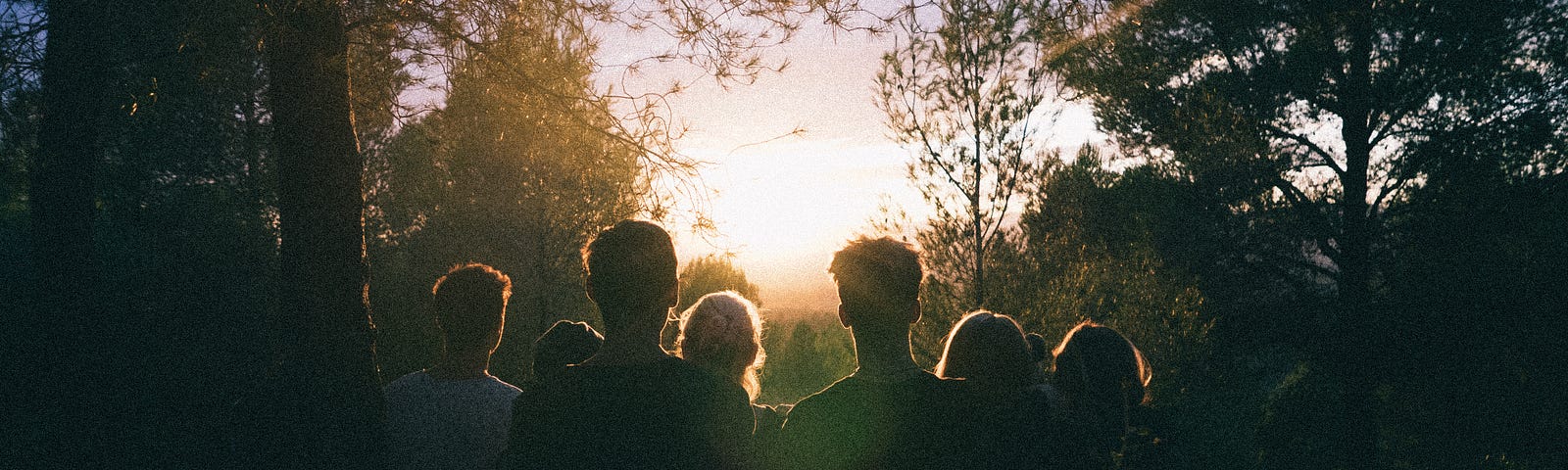 A group of people gather in a forest watching the sun set