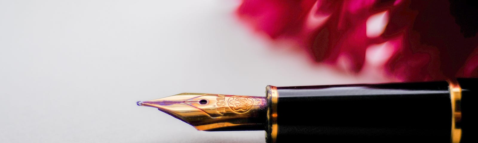 Bright pink flower on grey background and a black fountain pen sitting in front of it