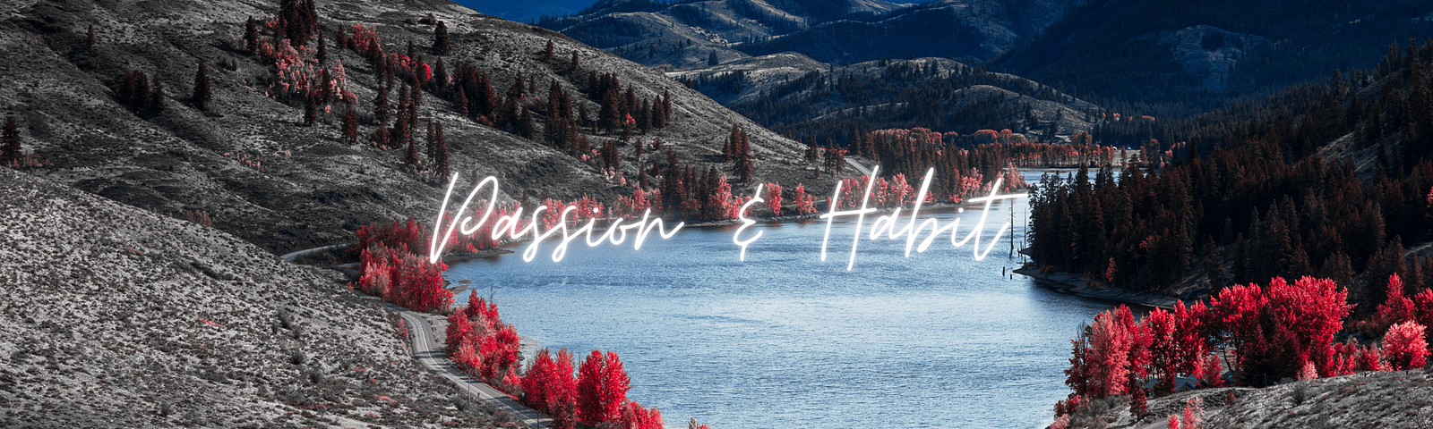 Mountain landscape with a small lake in the middle, bordered by a road and beautiful trees. Text overlay is “Passion & Habit”