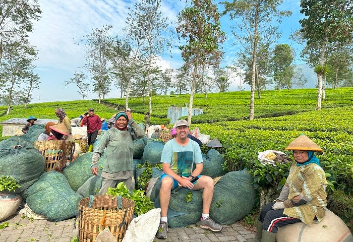 man in tea plantation with workers posing for photos surrounded by bags of harvested tea leaves