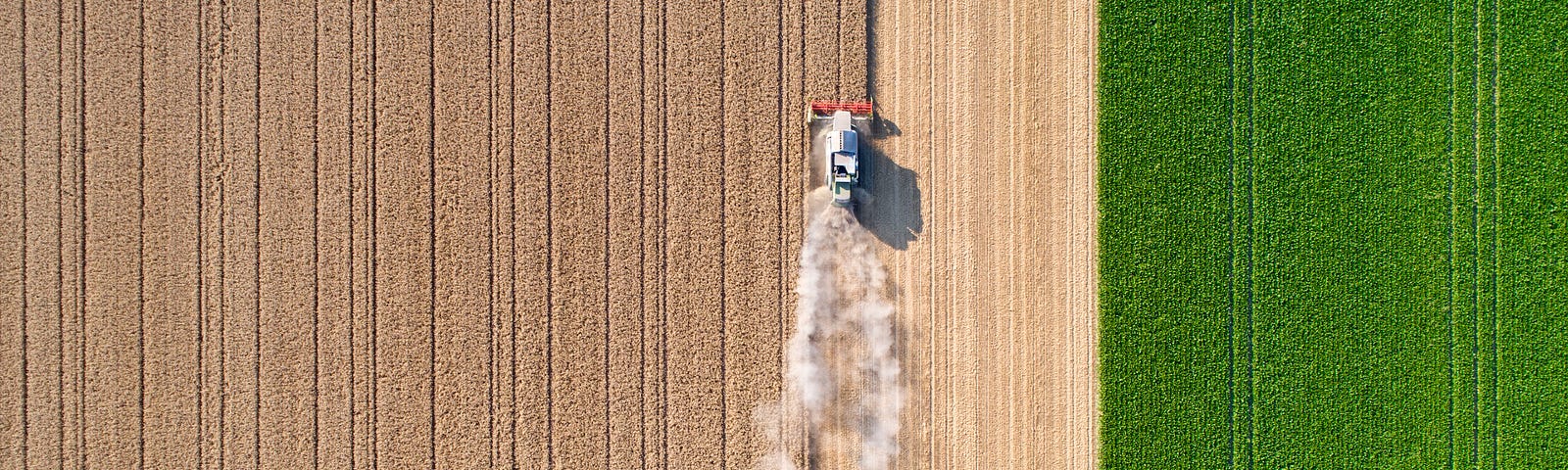 Overhead drone shot of a farm vehicle harvesting wheat.