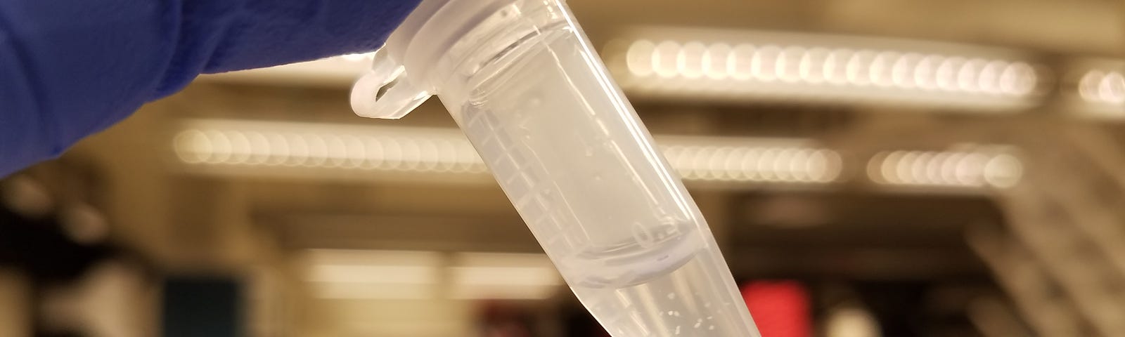 Close up of purple gloved fingers holding up a small test tube of clear liquid of brain organoids.