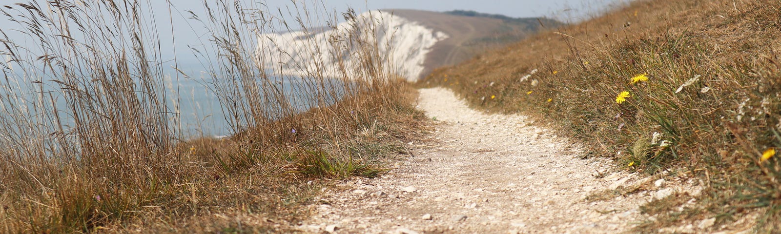 Chalky clifftop pathway in summer, with a view of the sea.