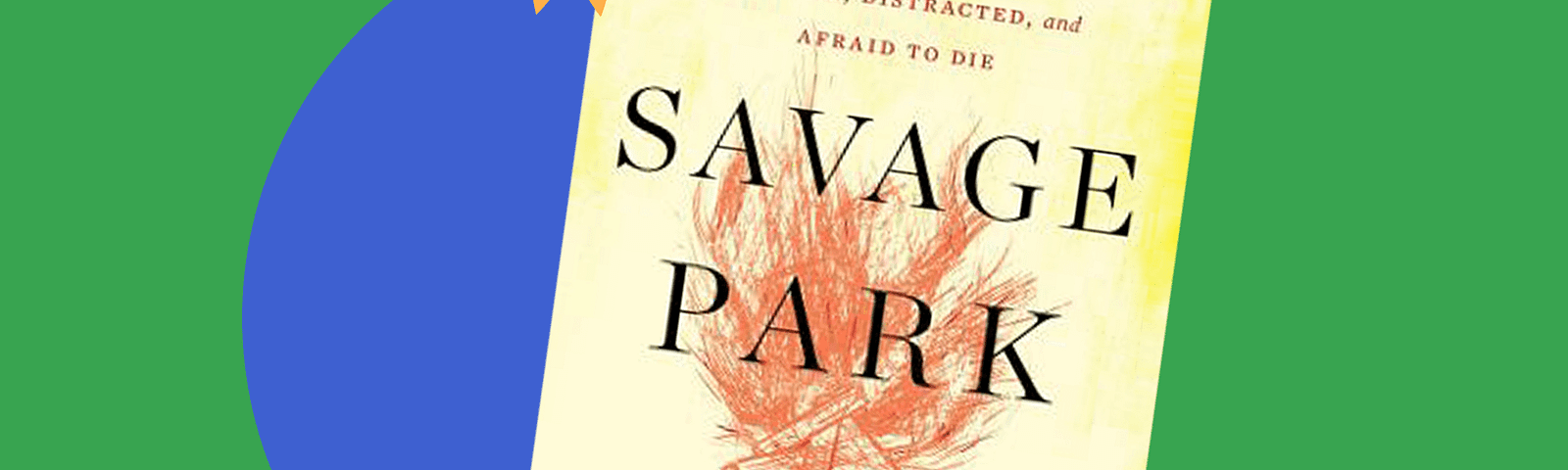 Book jacket cover for Savage Park by Amy Fusselman