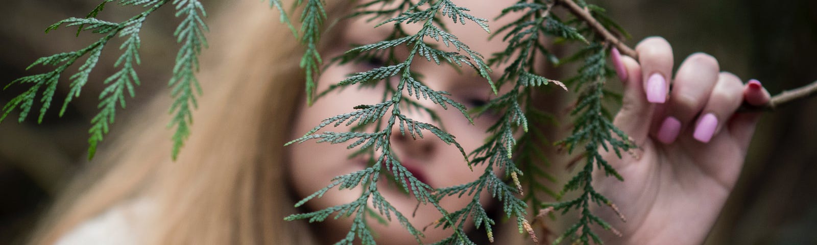 Person looking at camera through a pine branch