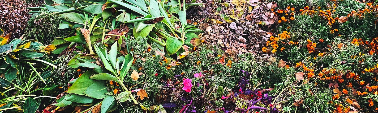 A pile of colorful plants lying on the ground