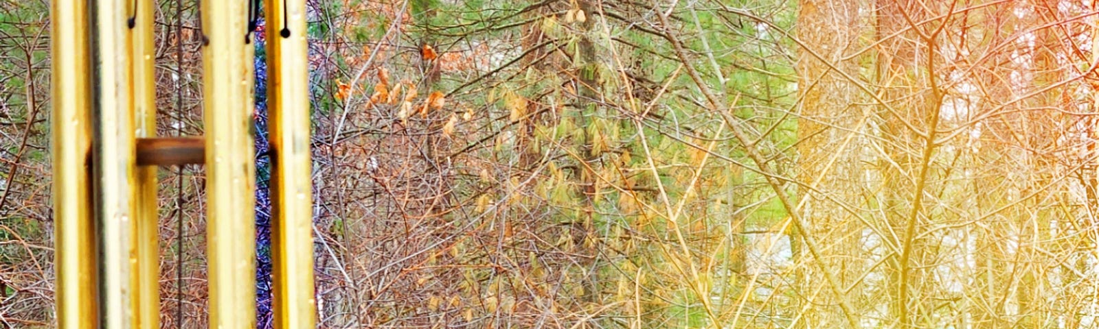 My brass windchimes to the left of the picture. And the tree beings in the backyard. I added a bit of rainbow color to the right side of the picture.