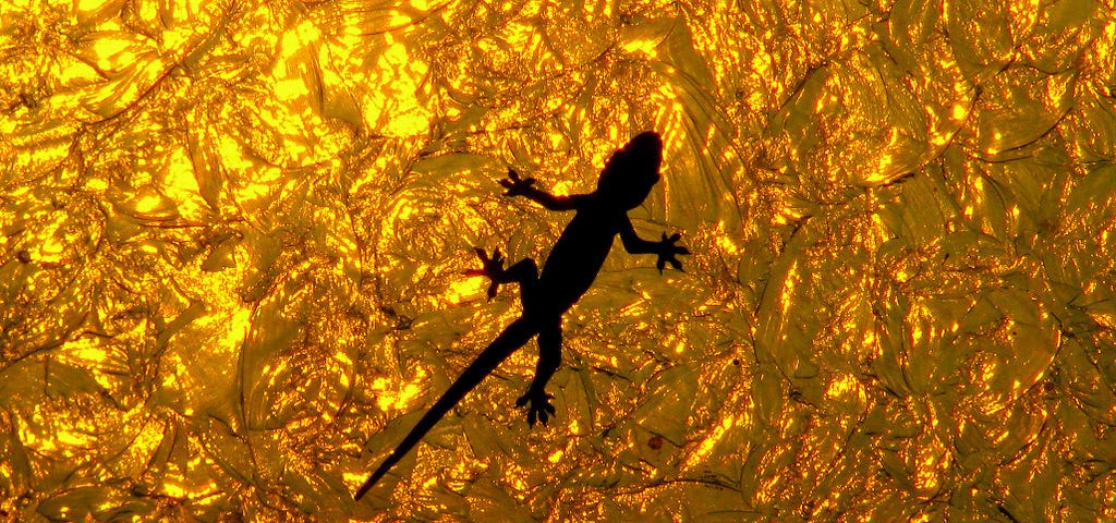 The silhouette of a gecko against a crinkled metallic gold background.