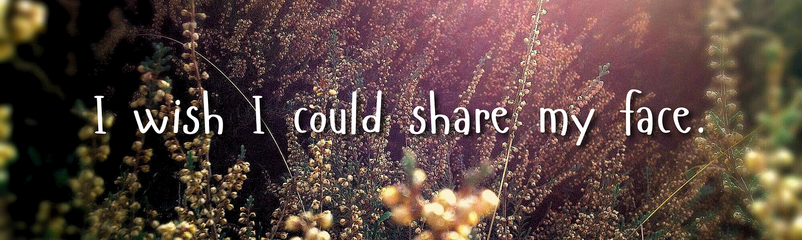 A field of flowers flooded with warm bright sunlight with the text, “I wish I could share my face.”