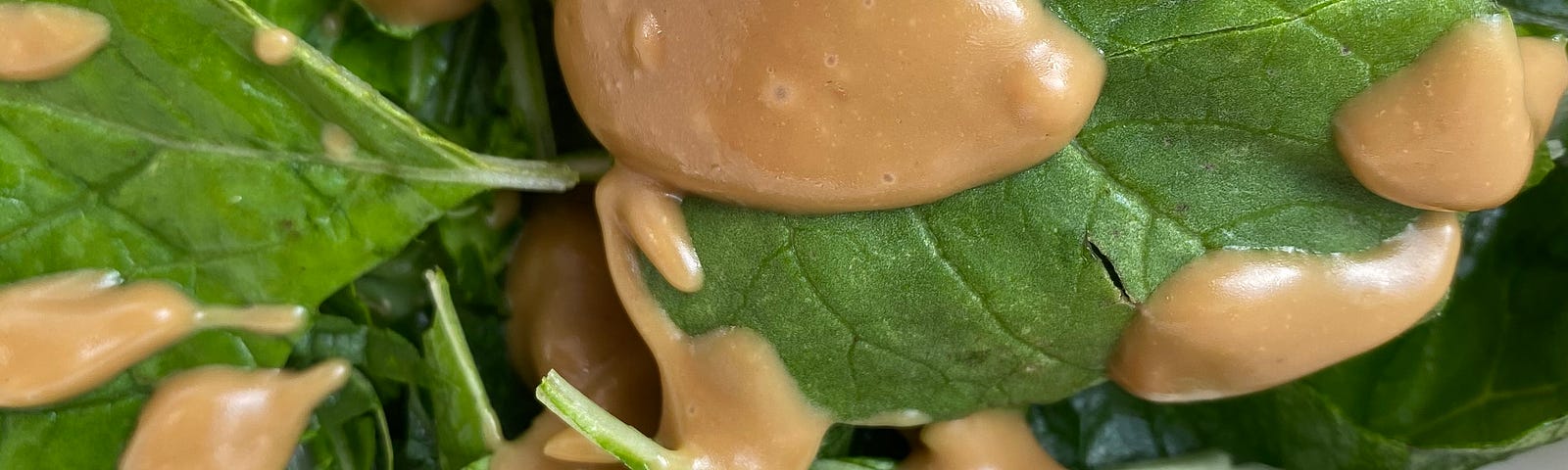 A photo of bright green spinach leaves coated in a creamy light brown balsamic dressing