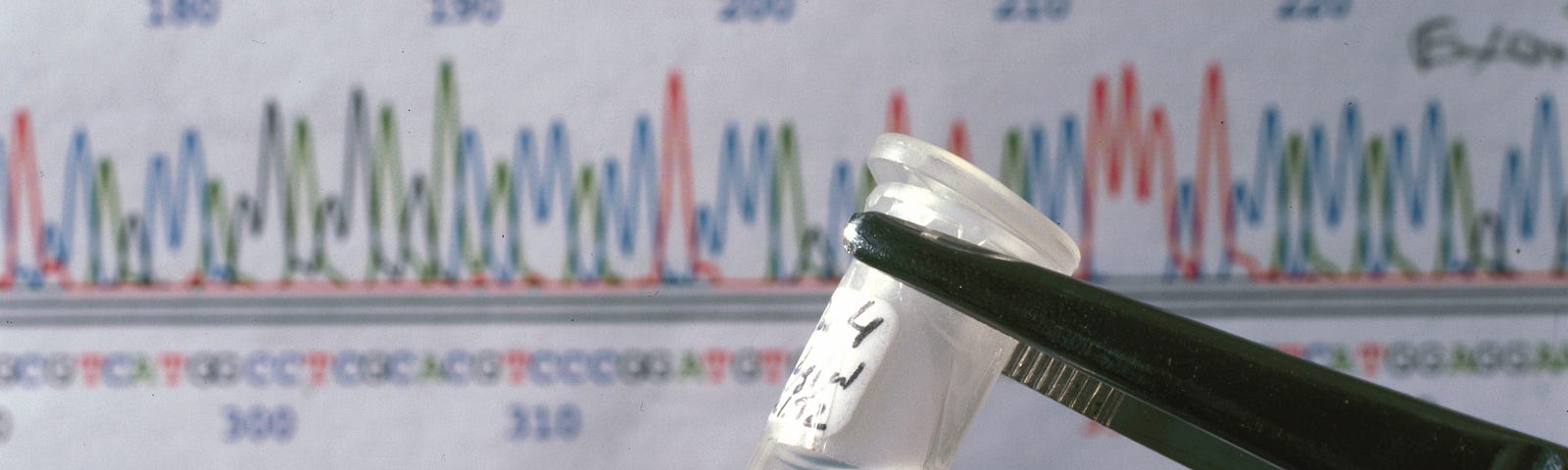 A sequencing chromatograph showing a DNA sequence and a sample of DNA from the human genome mapping project.