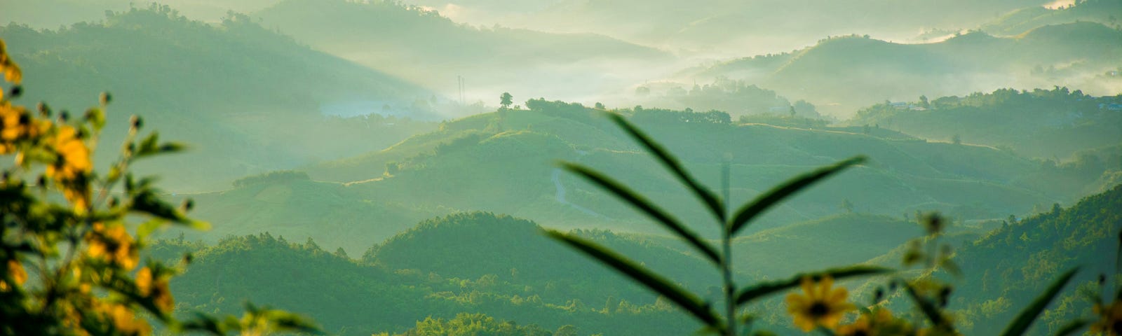 a peaceful hilly vista